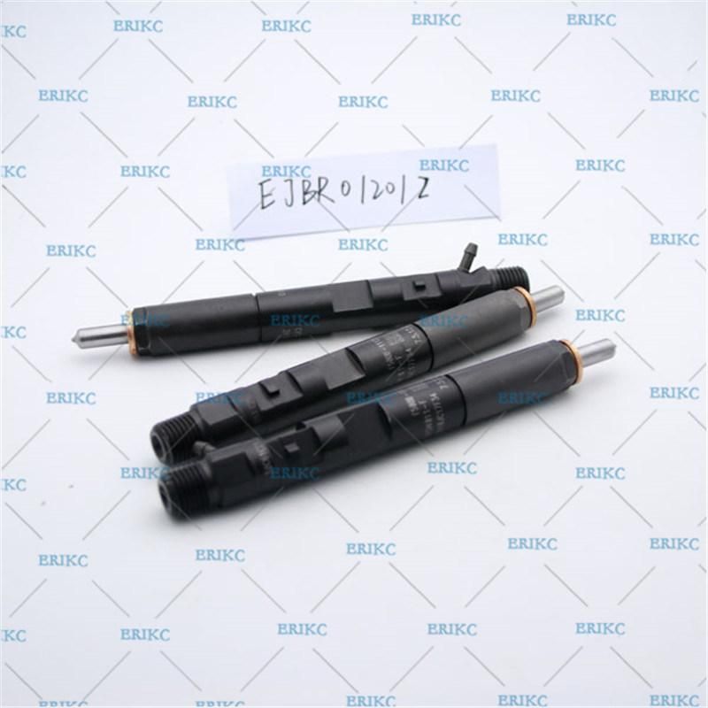 Erikc Fuel Injector Ejbr0 1201z Common Rail Delphi Injector for Nissan Micra Ejbr01201z OEM Ejb R01201z Diesel Intection