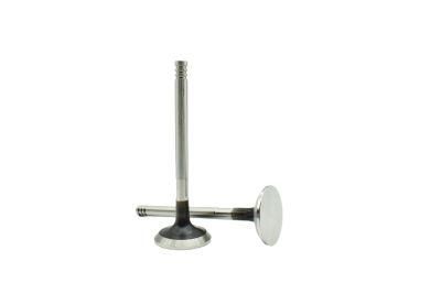 Car Parts Engine Valve for VW Caddy-2 Passat Vento 1.9d (1Y - AAZ) 028 109 611e Valve