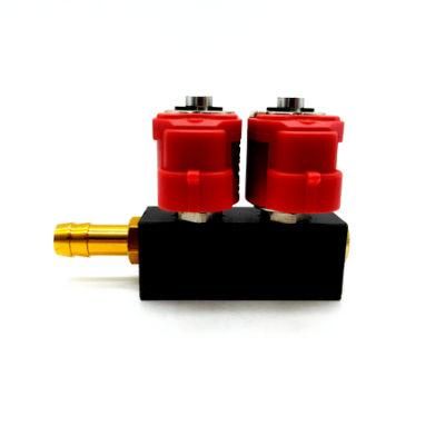Llano Red LPG CNG Rail Injector Ln-Lvtk02 for 2-Cylinder Gpl Gnv Engines
