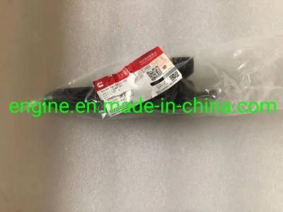 Original M11 Qsm ISM Diesel Engine Part Fuel Injector 3411821