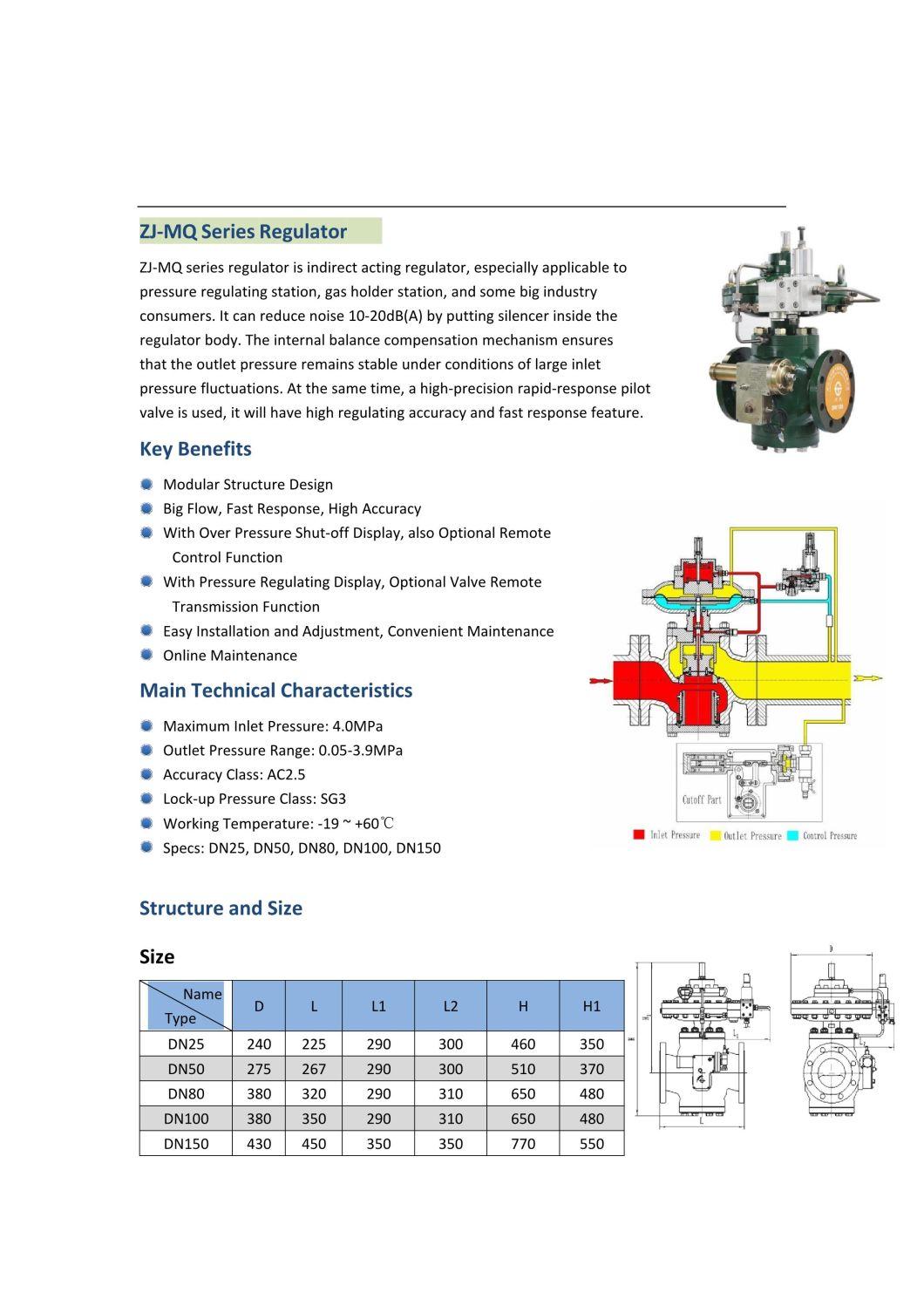 CNG Natural Gas Pressure Reducer Regulator