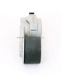 China-Pulley-Auto-Accessory-Belt-Tensioner-for-Engine-Truck-Img_0910