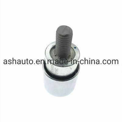 Chery Timing Idler 481h-1007071 for A1 Arauca Face Kimo A3 Orinoco Skin A5 Fora Elara Alia Tiggo 3 Tiggo 5 Tiuna