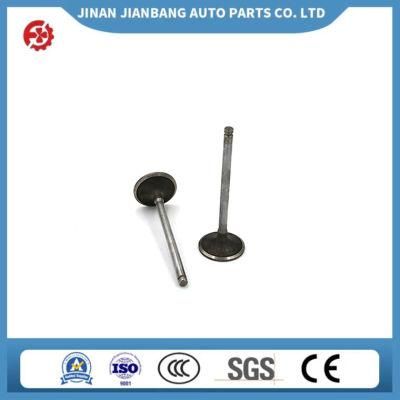 Car Engine Parts Engine Intake Exhaust Valve 642011 641379 55557862 71739797 for Vauxhall 1.6 192