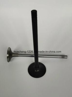 Auto Parts HOWO Engine Valve for D12