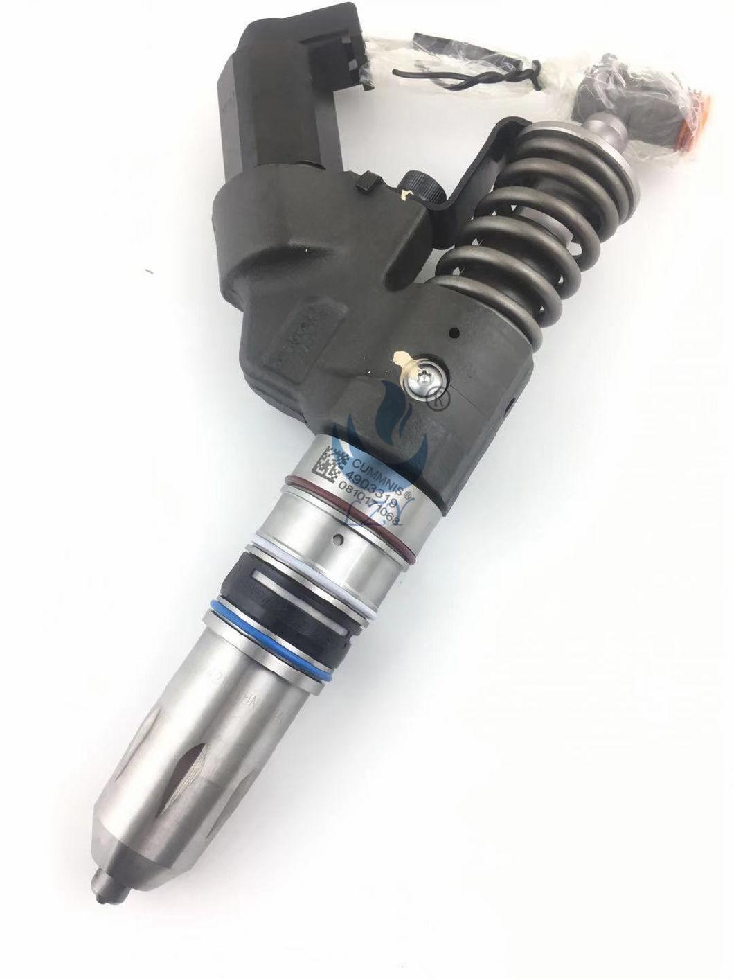 Lzy Diesel Engine Parts---Cummins M11 (4903319) Injector