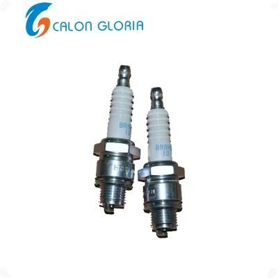 Spark Plug Spare Parts Cylinder for Calon Gloria Outboard Motor Marine Machine