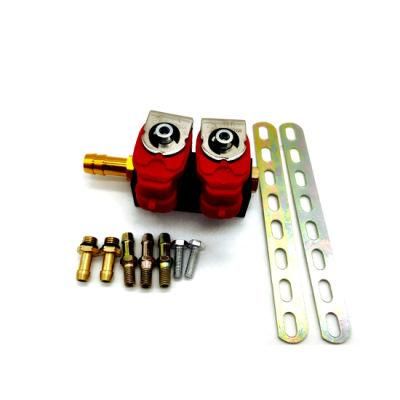 Llano Red 2 Cylinder CNG LPG Injector Rail Ln-Lvtk02 for Electronic Fuel Injection System