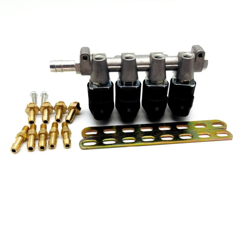 Llano Black 2ohm 4 Cylinder CNG LPG Injector Rail Ln-Lig1 for High Quality Autogas Equipment
