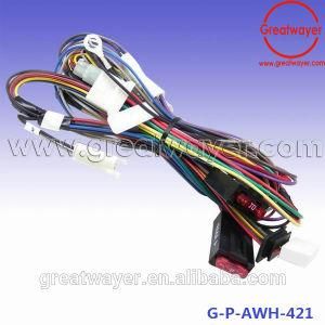 Low Voltage Plug and Fuse Socket Wire Harness