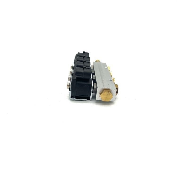 Auto Parts LPG CNG Gdi Injector Rail for Gas Conversion Kit 4 6 Cylinder Fuel System Injector Rail