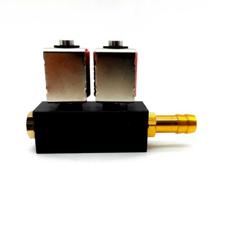 Llano Red LPG CNG Rail Injector Ln-Lvtk02 for 2-Cylinder Gpl Gnv Engines