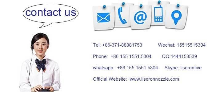 Erikc Dlla145p999 0433171648 Injector Nozzle Dlla 145 P 999 Diesel Nozzle Dlla 145p999 for Renault 0445120009