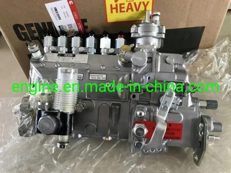 6bt 6D102 Diesel Engine Fuel Pump 4063845 6738-71-1520