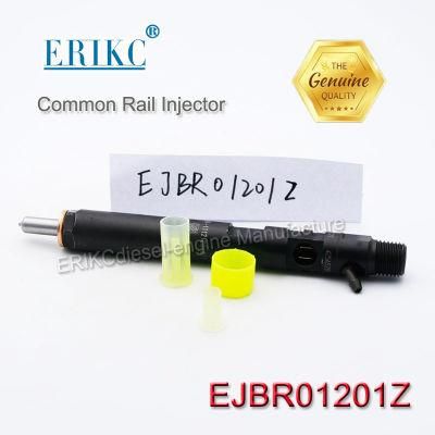 Erikc Fuel Injector Ejbr0 1201z Common Rail Delphi Injector for Nissan Micra Ejbr01201z OEM Ejb R01201z Diesel Intection