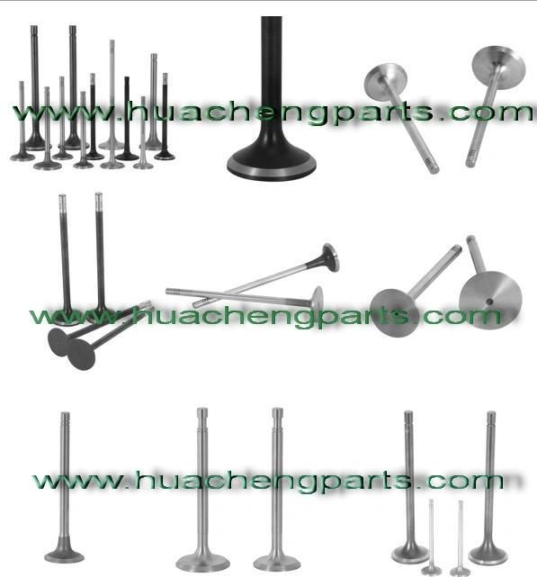 Intake & Exhaust Valve for FAW Diesel Engine 36D