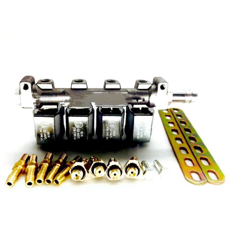 Llano Grey 3ohm 4 Cylinder CNG LPG Injector Rail Ln-Lig1 for Efi Carburetor System