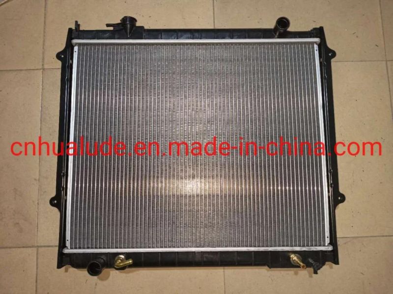 Hot Sell Aluminum Plastic Car Radiator, Dpi 1774