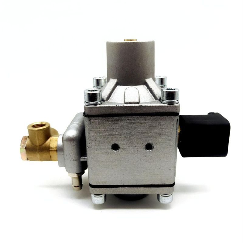 Llano 110~300 Kpa Ln-PPA CNG Pressure Reducer for Petrol to Gas Conversion Equipment