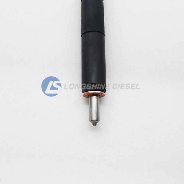 Common Rail Injector R04101d Ejbr04101d for Delphi
