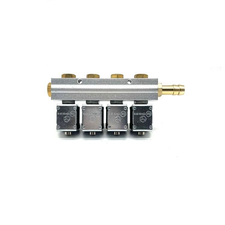Auto Parts LPG CNG Gdi Injector Rail for Gas Conversion Kit 4 6 Cylinder Fuel System Injector Rail