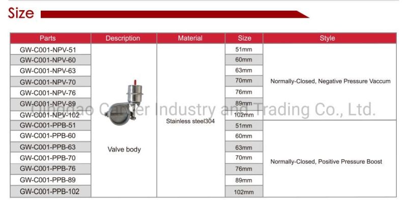 China High Quality Automotive Parts Universal Normally-Closed Valve Exhaust