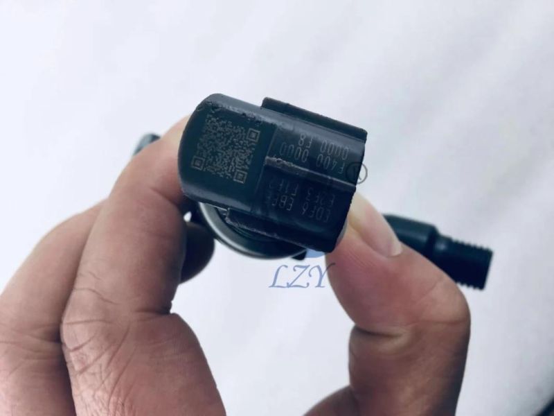Diesel Engine Parts-Common Rail Injector 295050-0300