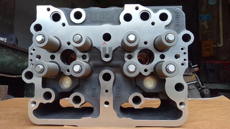 4915442/3609964/4327408/0470504037 Vp44 Fuel/Water Pump for Qsz Diesel Engine Parts