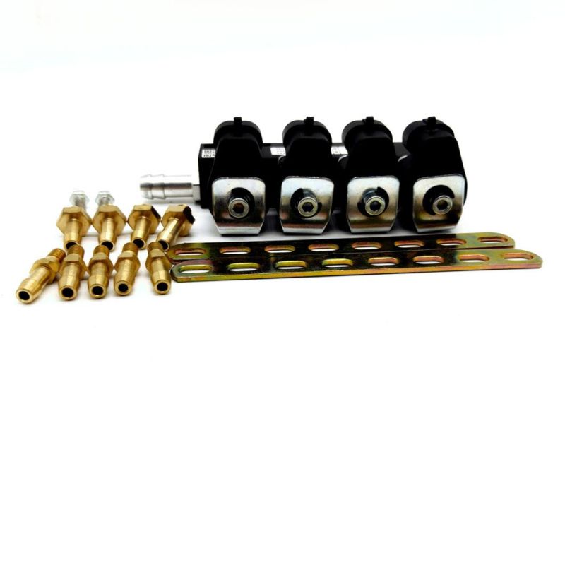 Llano 3 Ohm Resistance Ln-Lig1s Injector Rail for Fuel Injection System