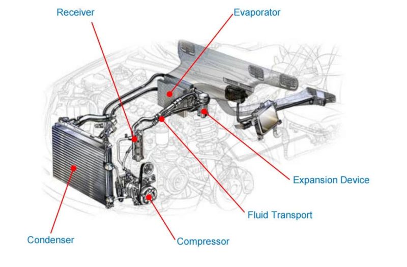 Auto Parts Engine-Cooling System Water Pipe