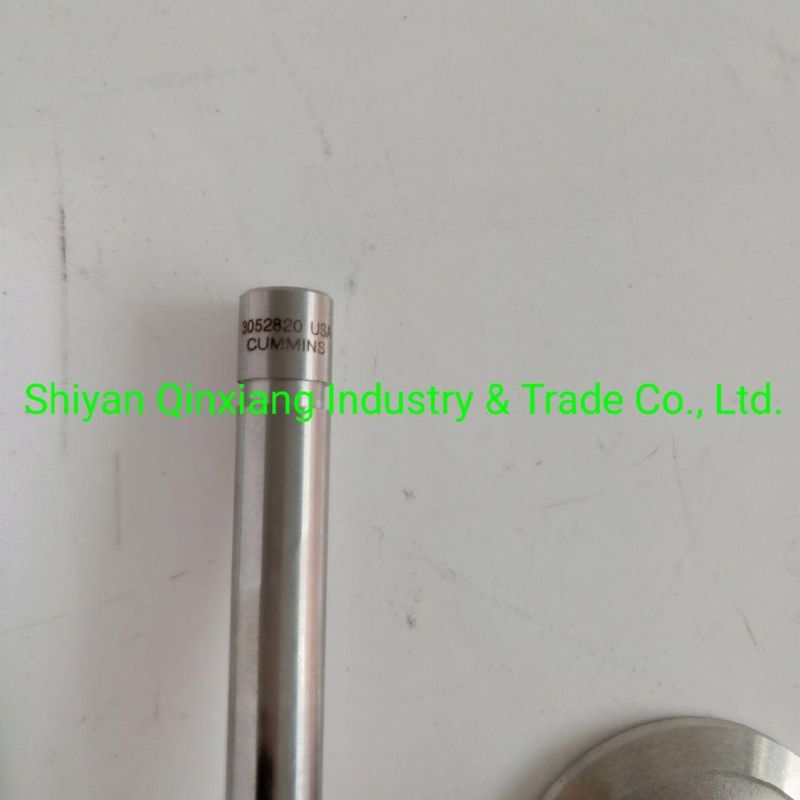 Qsk19 Valve Insert 3086192 3086193 Valve 3631950 4986317 3088389 3803528
