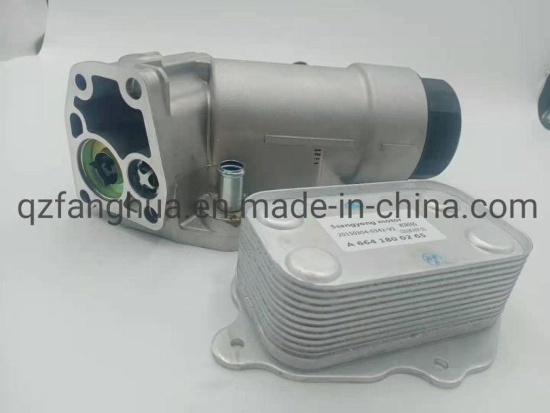 1621803710 Hot Sale Products for Orignal Filter & Cooler Assy-Oil for Ssangyong Kyron Auto Part