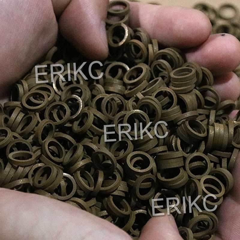 Erikc Diesel Fuel Injector Valve Repair Kit F00vc99002 F00rj02177 Ceramic Ball F00vc05008 F00vc05009 Steel Ball F00vc05001 for Bo Sch