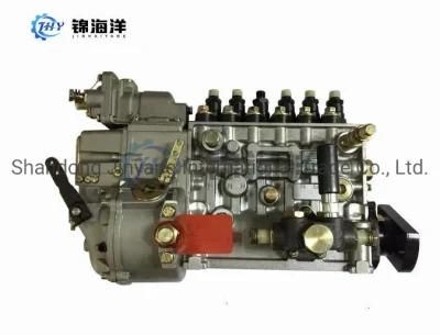 Sinotruck HOWO Parts Diesel Engine Parts Fuel Injector Pump Vg1096080130