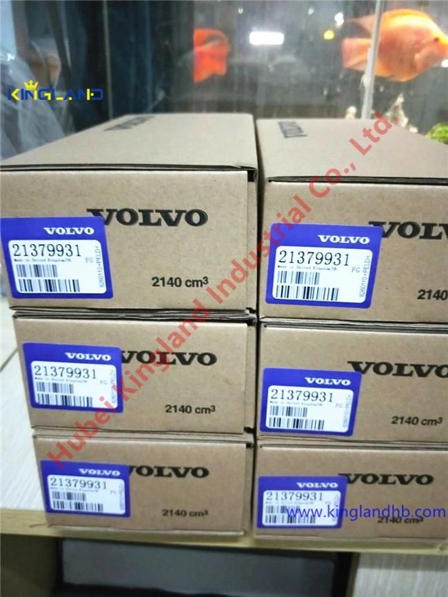 Auto Excavator Truck Diesel Engine Parts Delphi Volvo Fuel Injector Assembly Bebe4d27001 21379931