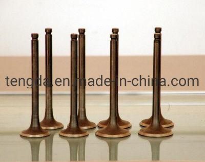 Factory Price Diesel Engine Parts Engine Valve Replacement