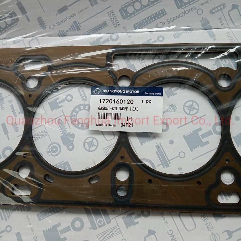 Cylinder Head Gasket 1720160120 Hgsy408601g 34ss019 10228100 Wg1892511 611026300 Fit for Ssangyong Korando Acyton