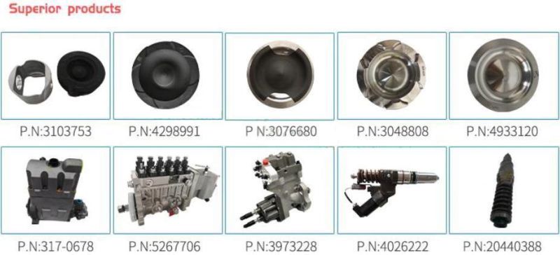 SAA6d107e-2 Qsb6.7 Excavator Engine Parts Fuel Injection Pump 5264248 0445020150