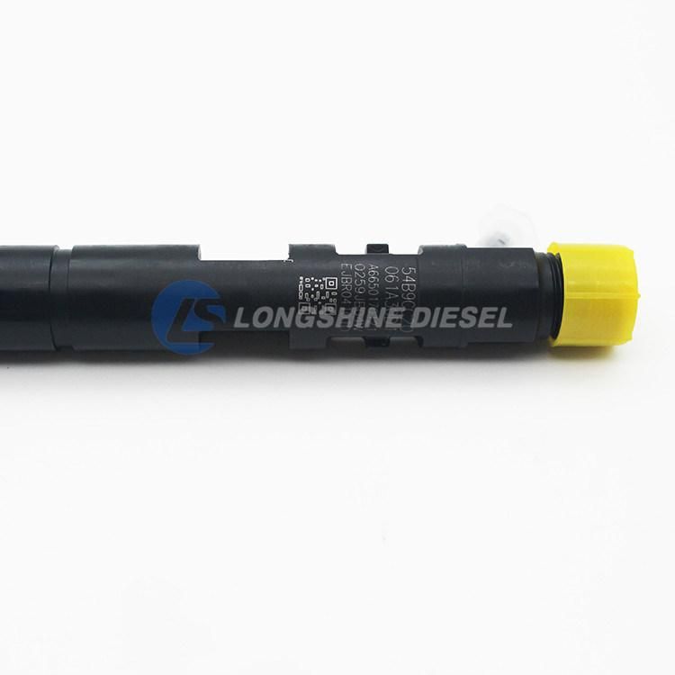 Common Rail Injector R04101d Ejbr04101d for Delphi