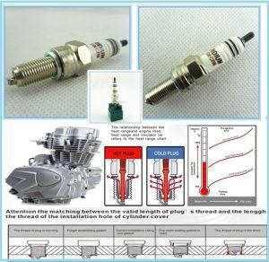 Iridium Spark Plug Eix-Cr8 for 4-Stroke Motorcycle, Pit Bike, ATV-Quads Engine etc