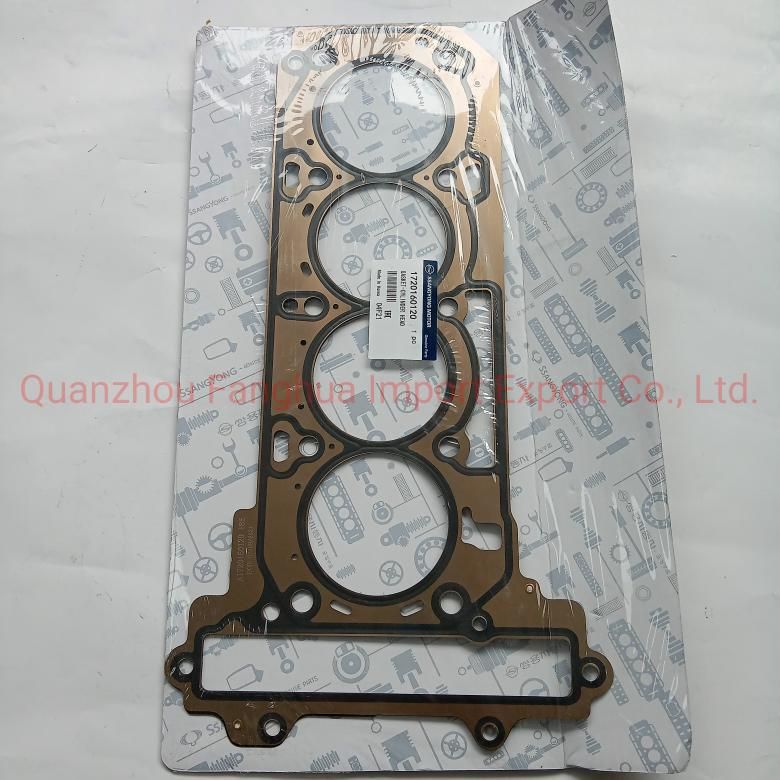 Cylinder Head Gasket 1720160120 Hgsy408601g 34ss019 10228100 Wg1892511 611026300 Fit for Ssangyong Korando Acyton