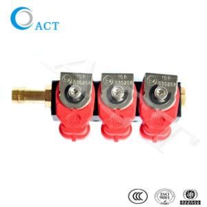 Act CNG 2ohm 3cylinder Injector Rail for Car