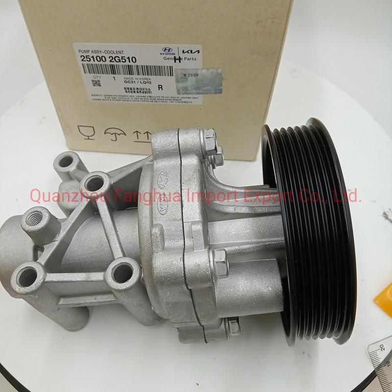 High Quality Water Pump 251002g510 251002g100 Pump Water 251002g200 2510025002 for Korea Car