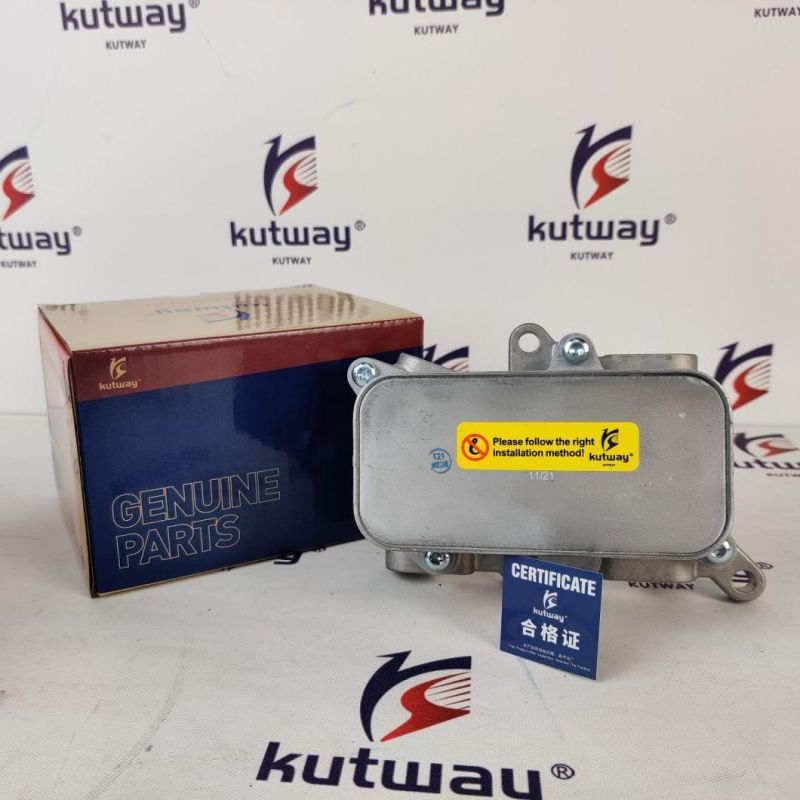 OEM: 95830703700 Fit for Porsche Cayenne Kutway Oil Cooler