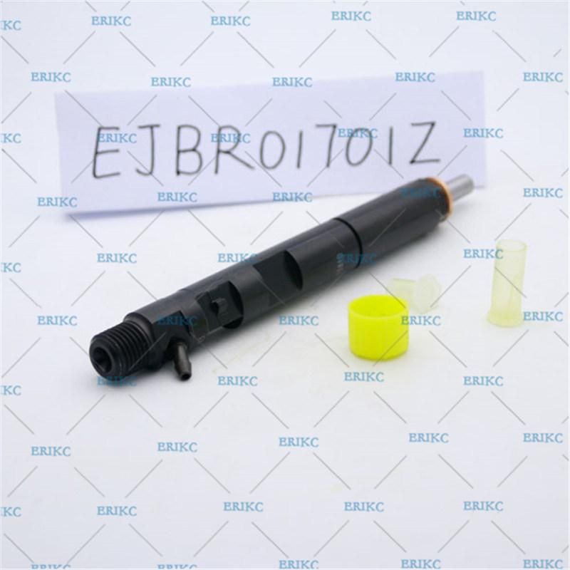 Erikc Diesel Car Fuel Part Injector Ejb R01701z Injector Ejbr0 1701z Delphi Injector Diesel Ejbr01701z for Renault