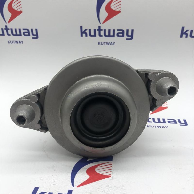 OEM: 2042404217/2042404317 Fit for C Class E-Class Kutway Engine Mount