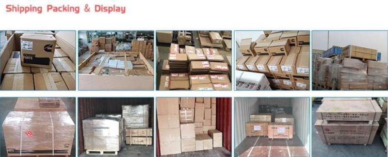 6D114/PC300-8/PC350-8 Excavator Engine Parts 4902732/4954199/4954908