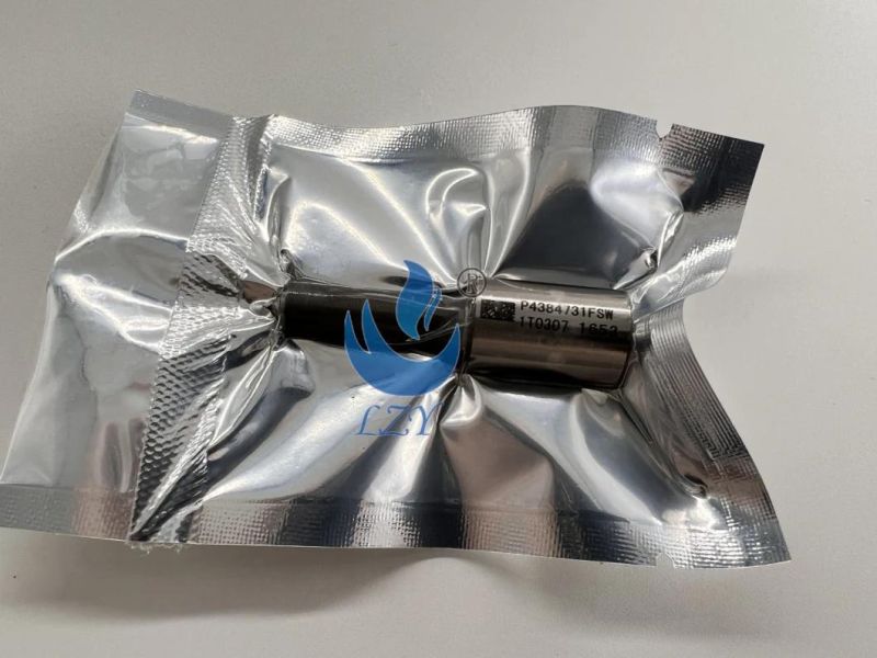 Diesel Engine Parts - Fuel Nozzle P4384731fsw