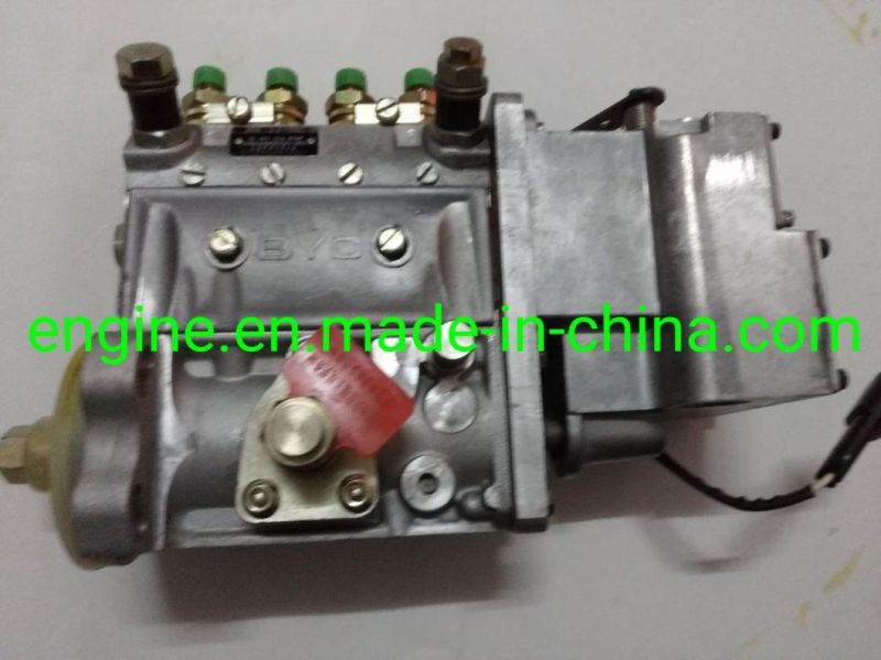 4bt3.9-G2 Engine Fuel Injection Pump 4939772 5336065 4933389