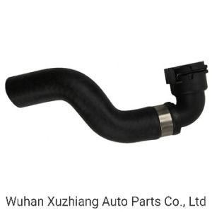 OE 17127576383 High Quality Automotive Coolant Hose Cooling System for BMW X5 X6 E70/E71